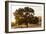 Roadside Oak-Lance Kuehne-Framed Photographic Print