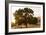 Roadside Oak-Lance Kuehne-Framed Photographic Print