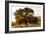 Roadside Oak-Lance Kuehne-Framed Photographic Print