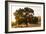 Roadside Oak-Lance Kuehne-Framed Photographic Print