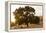 Roadside Oak-Lance Kuehne-Framed Premier Image Canvas