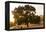 Roadside Oak-Lance Kuehne-Framed Premier Image Canvas