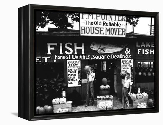 Roadside Stand near Birmingham, Alabama-Walker Evans-Framed Stretched Canvas