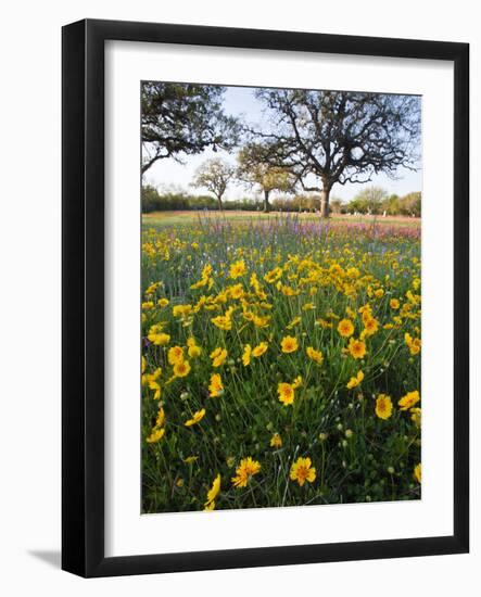 Roadside Wildflowers, Texas, USA-Larry Ditto-Framed Photographic Print