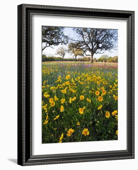 Roadside Wildflowers, Texas, USA-Larry Ditto-Framed Photographic Print