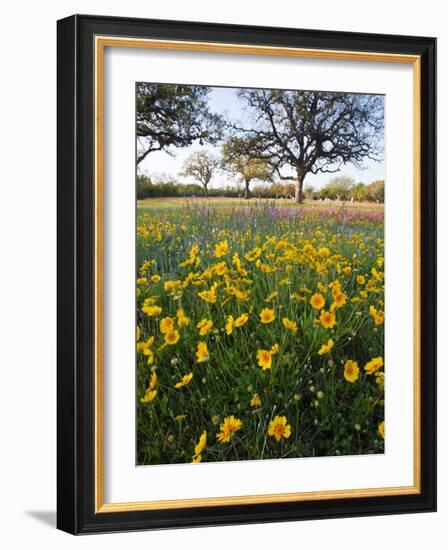 Roadside Wildflowers, Texas, USA-Larry Ditto-Framed Photographic Print