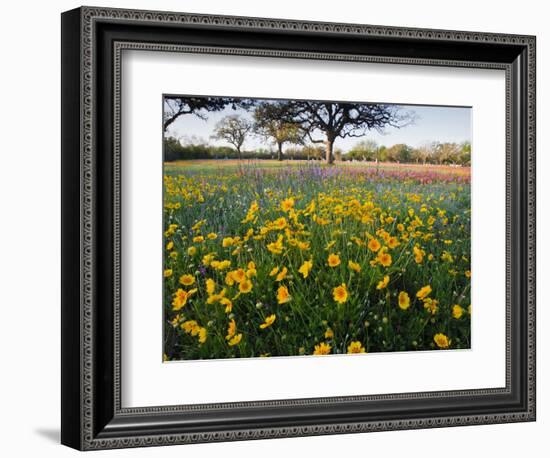 Roadside Wildflowers, Texas, USA-Larry Ditto-Framed Photographic Print