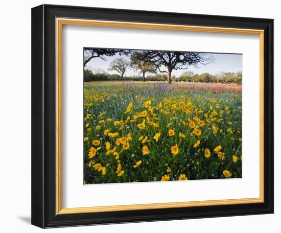 Roadside Wildflowers, Texas, USA-Larry Ditto-Framed Photographic Print