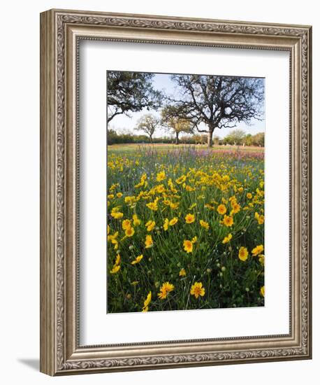 Roadside Wildflowers, Texas, USA-Larry Ditto-Framed Photographic Print