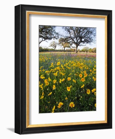 Roadside Wildflowers, Texas, USA-Larry Ditto-Framed Photographic Print