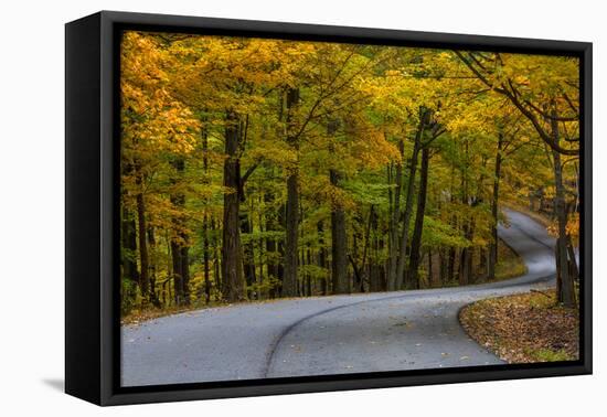 Roadway in Autumn in Brown County State Park, Indiana, USA-Chuck Haney-Framed Premier Image Canvas