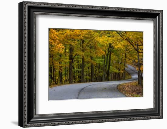 Roadway in Autumn in Brown County State Park, Indiana, USA-Chuck Haney-Framed Photographic Print