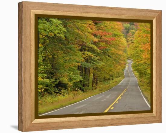 Roadway Through White Mountain National Forest, New Hampshire, USA-Adam Jones-Framed Premier Image Canvas