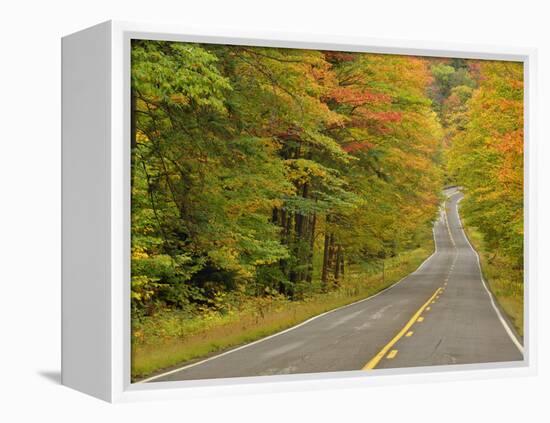 Roadway Through White Mountain National Forest, New Hampshire, USA-Adam Jones-Framed Premier Image Canvas