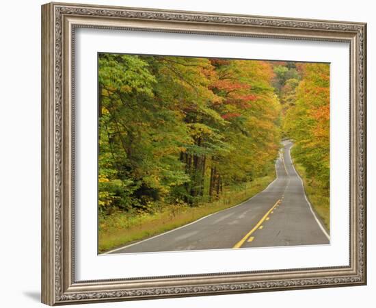 Roadway Through White Mountain National Forest, New Hampshire, USA-Adam Jones-Framed Photographic Print