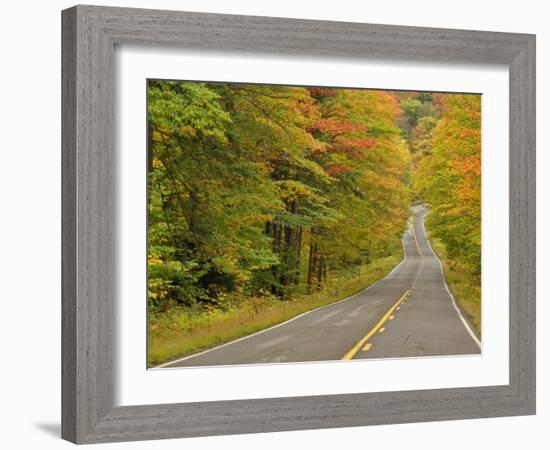 Roadway Through White Mountain National Forest, New Hampshire, USA-Adam Jones-Framed Photographic Print