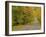 Roadway Through White Mountain National Forest, New Hampshire, USA-Adam Jones-Framed Photographic Print