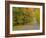 Roadway Through White Mountain National Forest, New Hampshire, USA-Adam Jones-Framed Photographic Print