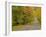 Roadway Through White Mountain National Forest, New Hampshire, USA-Adam Jones-Framed Photographic Print