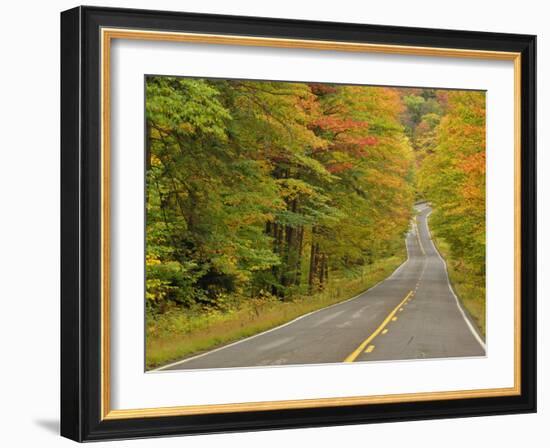 Roadway Through White Mountain National Forest, New Hampshire, USA-Adam Jones-Framed Photographic Print