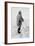 Roald Amundsen in polar kit, Antarctica, 1911-1912-Unknown-Framed Giclee Print