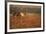 Roam Free-Staffan Widstrand-Framed Giclee Print