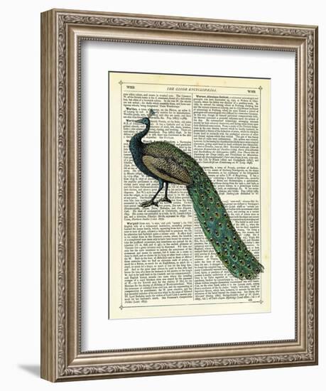 Roaming Peacock-Marion Mcconaghie-Framed Art Print