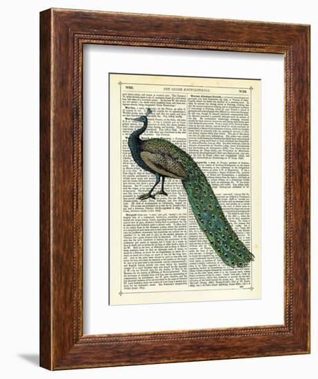 Roaming Peacock-Marion Mcconaghie-Framed Art Print