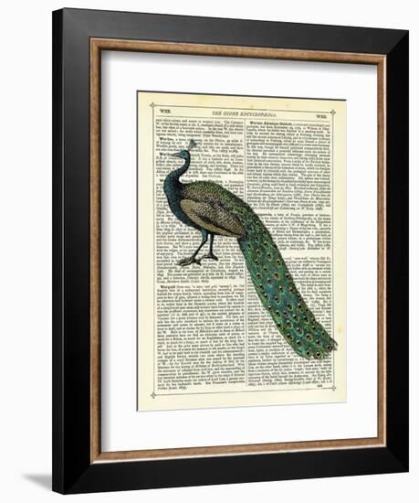 Roaming Peacock-Marion Mcconaghie-Framed Art Print
