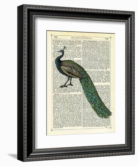 Roaming Peacock-Marion Mcconaghie-Framed Art Print