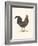 Roaming Rooster-The Vintage Collection-Framed Giclee Print