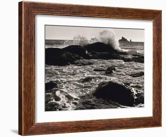 Roar of the Ocean-Brett Aniballi-Framed Art Print