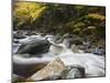 Roaring Brook in Fall in Vermont's Green Mountains National Forest, Sunderland, Vermont, Usa-Jerry & Marcy Monkman-Mounted Photographic Print