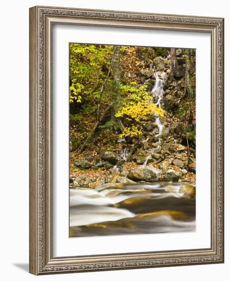 Roaring Brook in Fall in Vermont's Green Mountains National Forest, Sunderland, Vermont, Usa-Jerry & Marcy Monkman-Framed Photographic Print