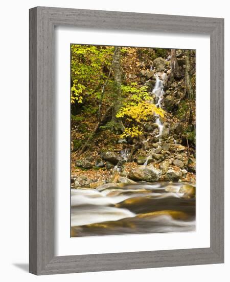 Roaring Brook in Fall in Vermont's Green Mountains National Forest, Sunderland, Vermont, Usa-Jerry & Marcy Monkman-Framed Photographic Print