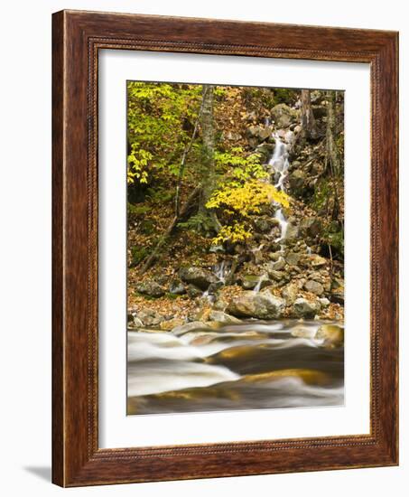 Roaring Brook in Fall in Vermont's Green Mountains National Forest, Sunderland, Vermont, Usa-Jerry & Marcy Monkman-Framed Photographic Print