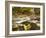 Roaring Brook in Fall in Vermont's Green Mountains National Forest, Sunderland, Vermont, Usa-Jerry & Marcy Monkman-Framed Photographic Print