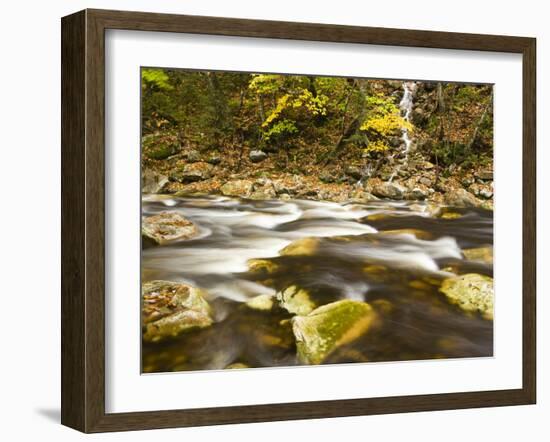 Roaring Brook in Fall in Vermont's Green Mountains National Forest, Sunderland, Vermont, Usa-Jerry & Marcy Monkman-Framed Photographic Print