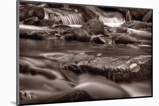 Roaring Fork Great Smokey Mountains BW-Steve Gadomski-Mounted Photographic Print