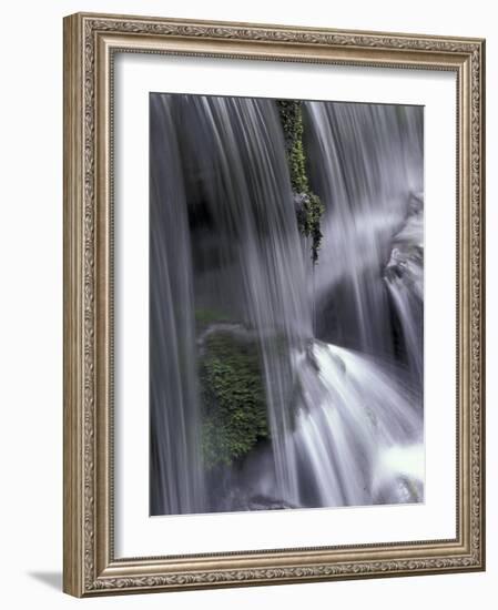 Roaring Fork, Motor Nature Trail, Great Smoky Mountains National Park, Tennessee, USA-Adam Jones-Framed Photographic Print