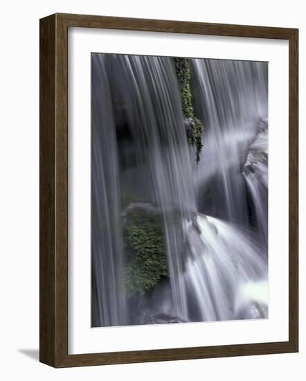 Roaring Fork, Motor Nature Trail, Great Smoky Mountains National Park, Tennessee, USA-Adam Jones-Framed Photographic Print