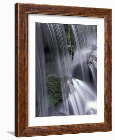 Roaring Fork, Motor Nature Trail, Great Smoky Mountains National Park, Tennessee, USA-Adam Jones-Framed Photographic Print