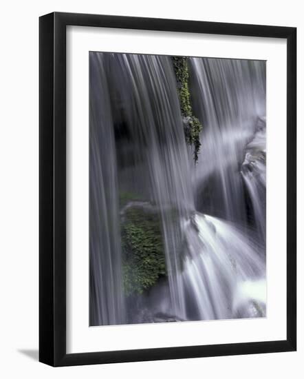 Roaring Fork, Motor Nature Trail, Great Smoky Mountains National Park, Tennessee, USA-Adam Jones-Framed Photographic Print