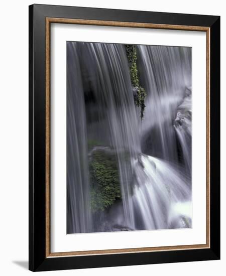 Roaring Fork, Motor Nature Trail, Great Smoky Mountains National Park, Tennessee, USA-Adam Jones-Framed Photographic Print