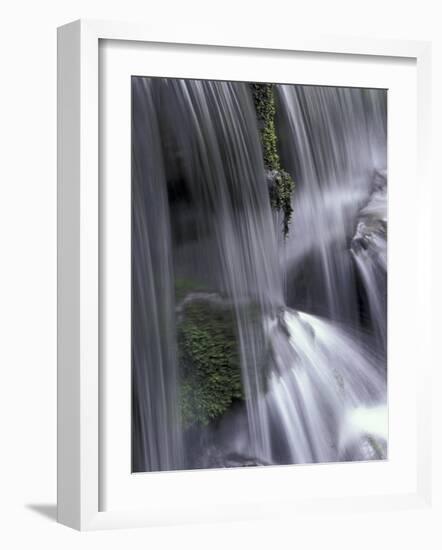 Roaring Fork, Motor Nature Trail, Great Smoky Mountains National Park, Tennessee, USA-Adam Jones-Framed Photographic Print