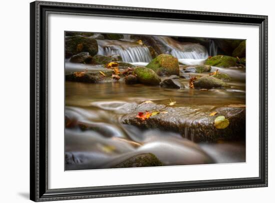 Roaring Fork Stream Great Smoky Mountains-Steve Gadomski-Framed Photographic Print