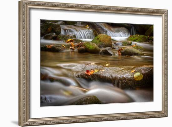 Roaring Fork Stream Great Smoky Mountains-Steve Gadomski-Framed Photographic Print