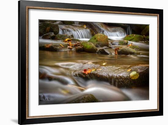 Roaring Fork Stream Great Smoky Mountains-Steve Gadomski-Framed Photographic Print