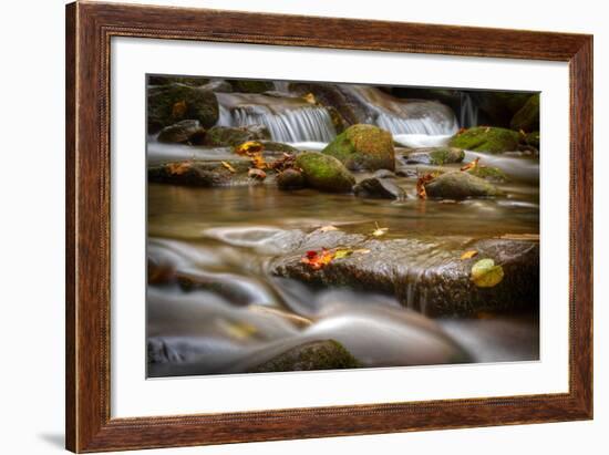 Roaring Fork Stream Great Smoky Mountains-Steve Gadomski-Framed Photographic Print