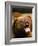 Roaring Grizzly Bear-Stuart Westmorland-Framed Photographic Print